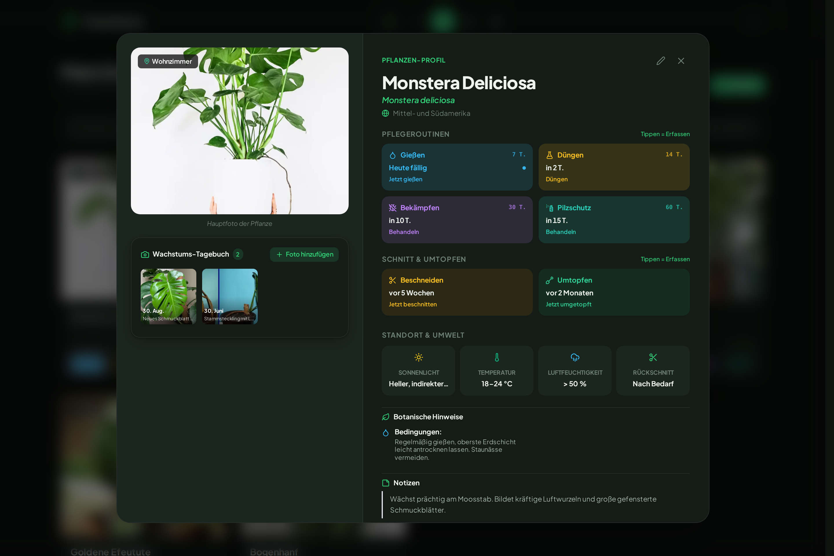 Botanical Studio Modal